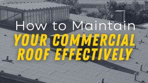 How to Maintain Your Commercial Roof Effectively