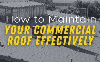 How to Maintain Your Commercial Roof Effectively
